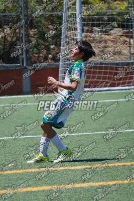 Foto de Tigres ER-FC
