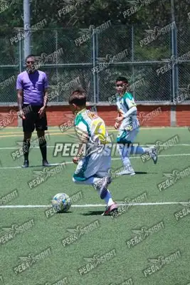 Foto de Tigres ER-FC