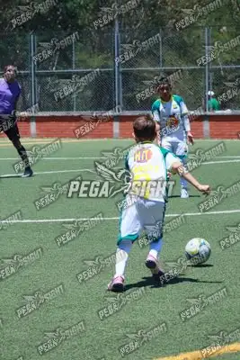 Foto de Tigres ER-FC