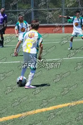 Foto de Tigres ER-FC