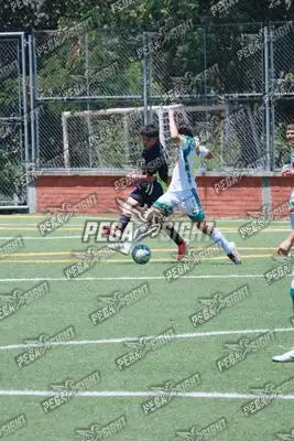 Foto de Tigres ER-FC