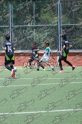 Foto de Tigres ER-FC