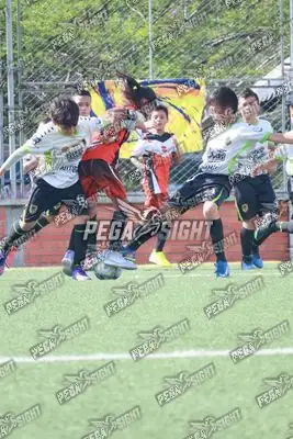 Foto de Aguilas Santander