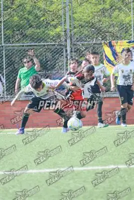 Foto de Aguilas Santander