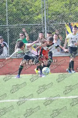 Foto de Aguilas Santander