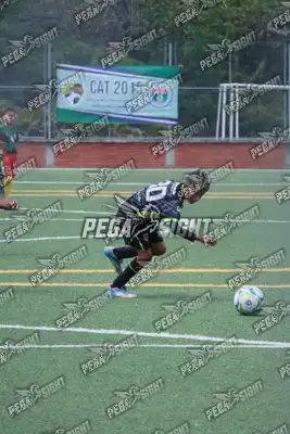 Foto de Aguilas Santander