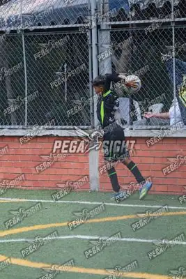 Foto de Aguilas Santander