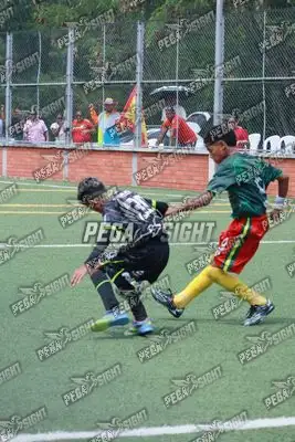 Foto de Aguilas Santander
