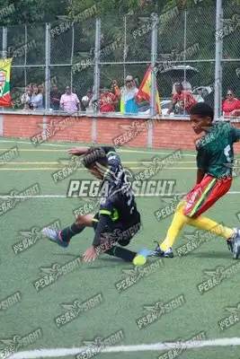 Foto de Aguilas Santander