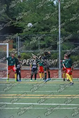 Foto de Aguilas Santander