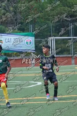 Foto de Aguilas Santander