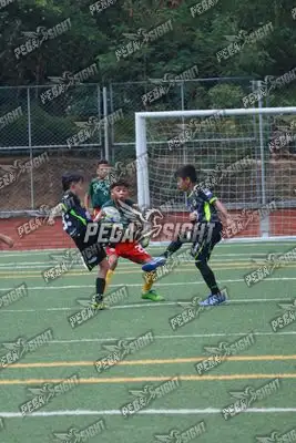 Foto de Aguilas Santander