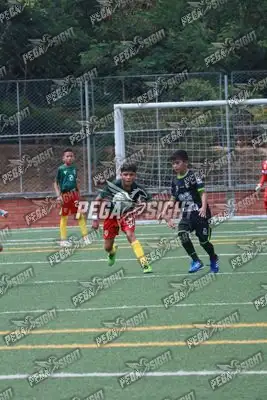 Foto de Aguilas Santander