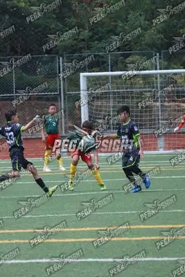 Foto de Aguilas Santander
