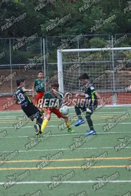 Foto de Aguilas Santander
