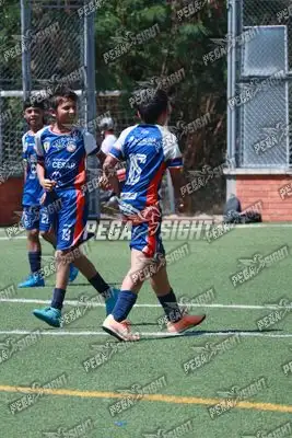 Foto de Cacique Guanenta