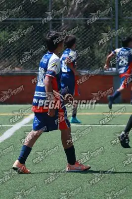 Foto de Cacique Guanenta