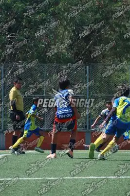Foto de Cacique Guanenta