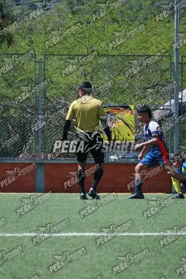 Foto de Cacique Guanenta