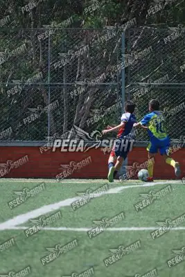 Foto de Cacique Guanenta