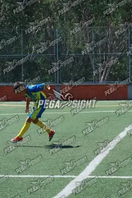 Foto de Rayo de Casanare
