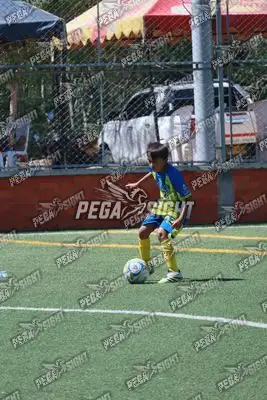 Foto de Rayo de Casanare