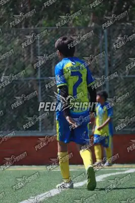 Foto de Rayo de Casanare