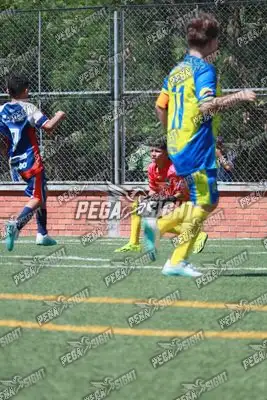 Foto de Rayo de Casanare