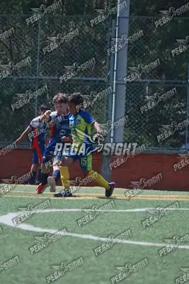 Foto de Rayo de Casanare