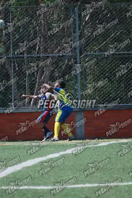 Foto de Rayo de Casanare