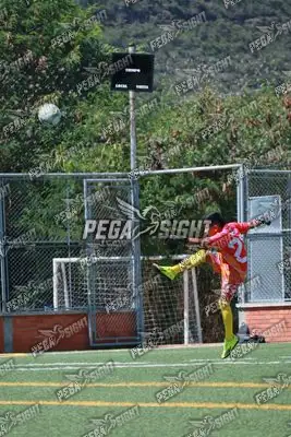 Foto de Rayo de Casanare
