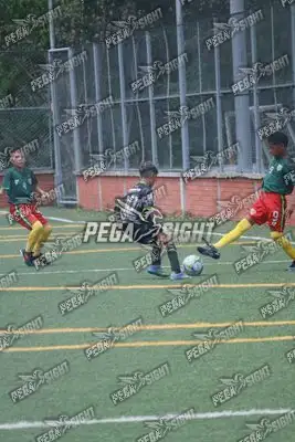 Foto de Aguilas Santander