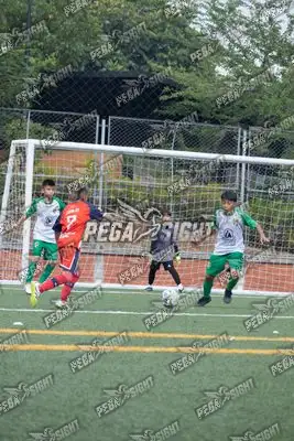 Foto de COMFENALCO