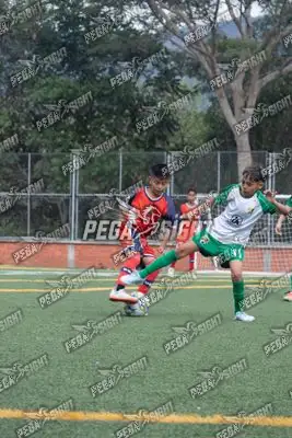 Foto de COMFENALCO