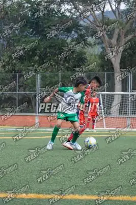 Foto de COMFENALCO