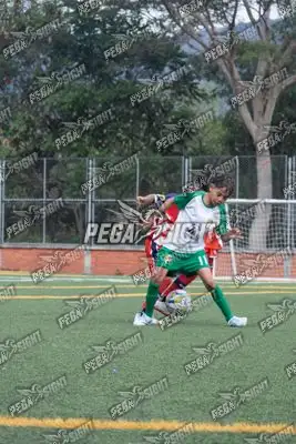 Foto de COMFENALCO