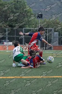 Foto de COMFENALCO