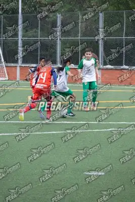 Foto de COMFENALCO
