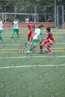 Foto de COMFENALCO