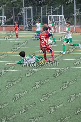 Foto de COMFENALCO