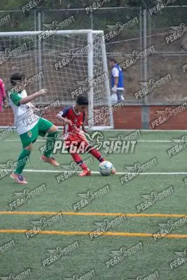 Foto de COMFENALCO