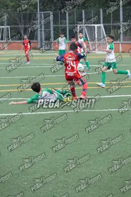 Foto de COMFENALCO