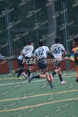 Foto de Semilla Comunera