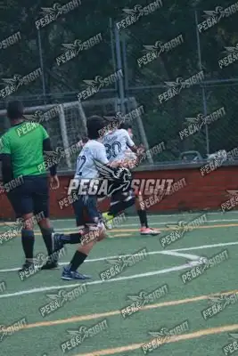 Foto de Semilla Comunera