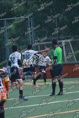 Foto de Semilla Comunera
