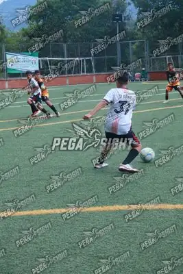 Foto de Semilla Comunera