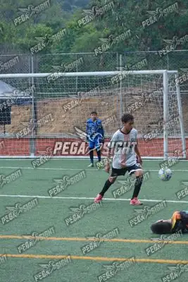 Foto de Semilla Comunera
