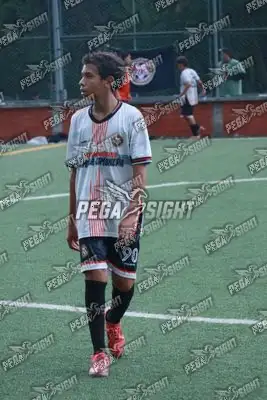 Foto de Semilla Comunera