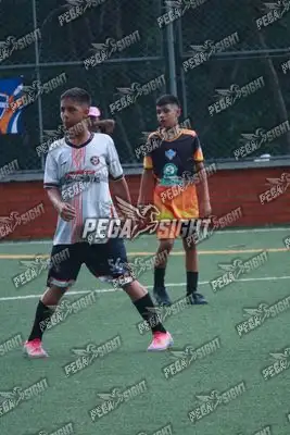 Foto de Semilla Comunera