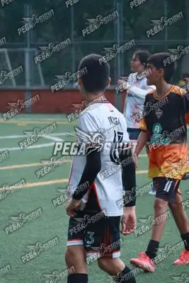Foto de Semilla Comunera